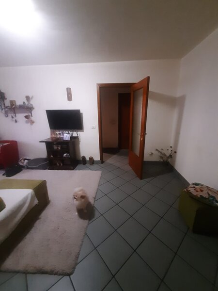 Drumul Taberei Raul Doamnei